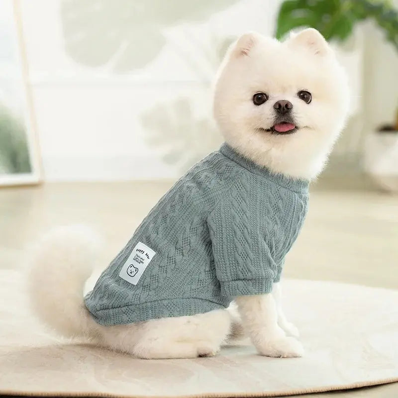 Cozy Bear Knitted Sweater for Small Dogs and Cats