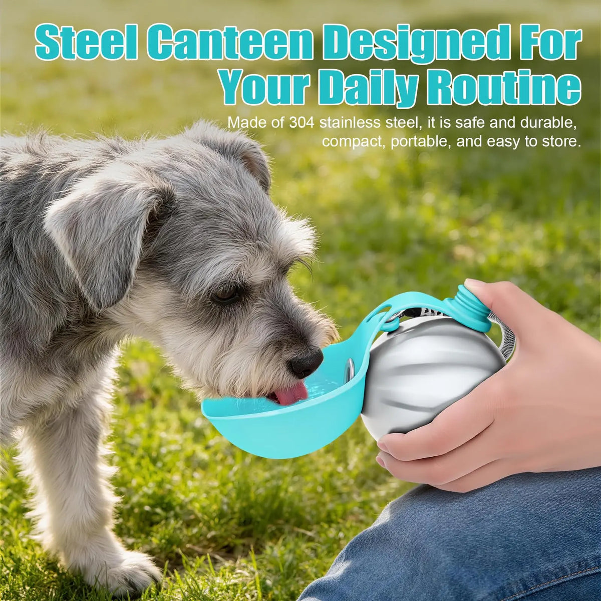 2-in-1 Stainless Steel Dog Water Bottle with Foldable Bowl