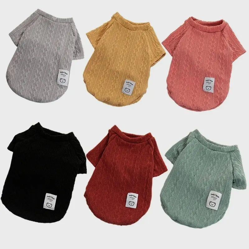 Cozy Bear Knitted Sweater for Small Dogs and Cats