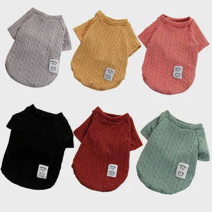 Cozy Bear Knitted Sweater for Small Dogs and Cats
