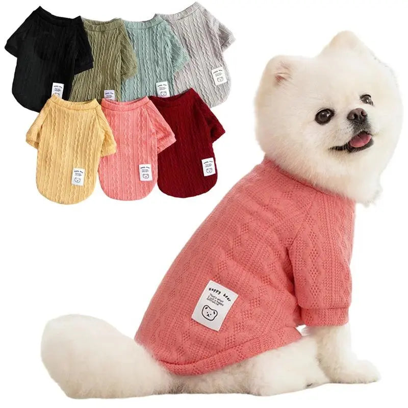 Cozy Bear Knitted Sweater for Small Dogs and Cats