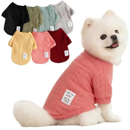 Cozy Bear Knitted Sweater for Small Dogs and Cats
