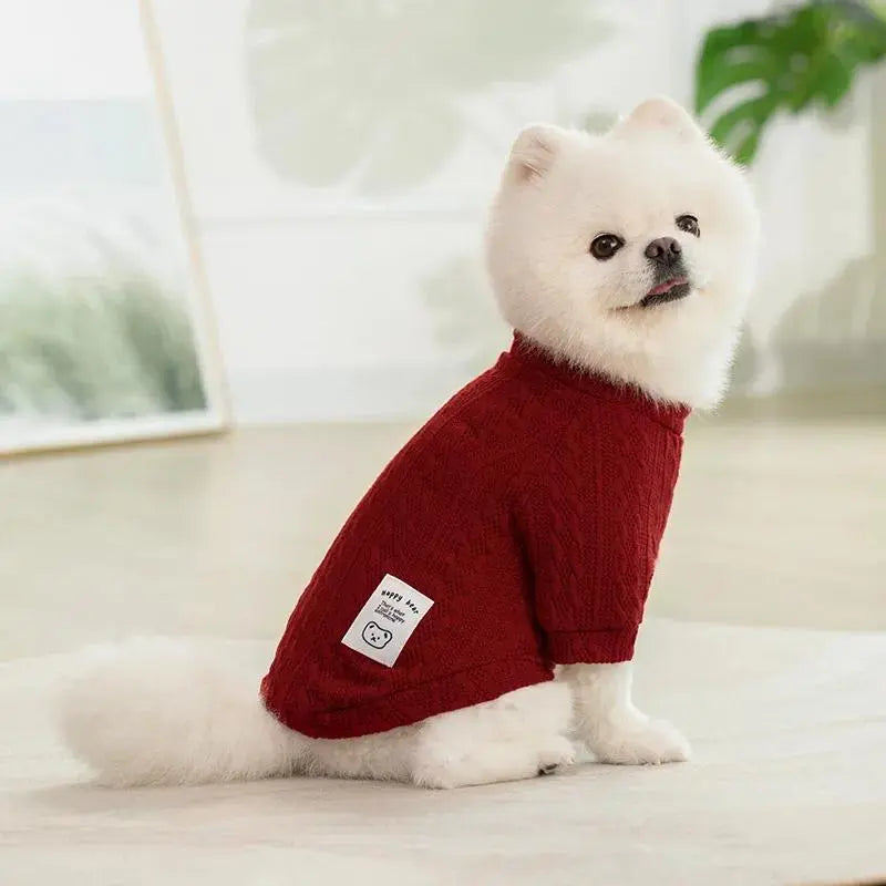 Cozy Bear Knitted Sweater for Small Dogs and Cats